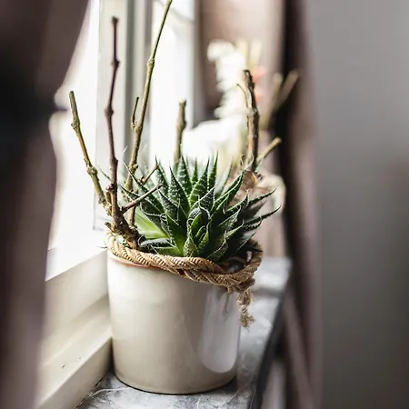 Διαμέρισμα Seminarhaus Heim Retreat, Fachwerkhaus Von 1451, Yoga, Naturgarten Fuer 10 Personen