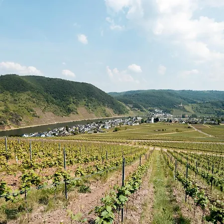 Seminarhaus Heim Retreat, Fachwerkhaus Von 1451, Yoga, Naturgarten Fuer 10 Personen *