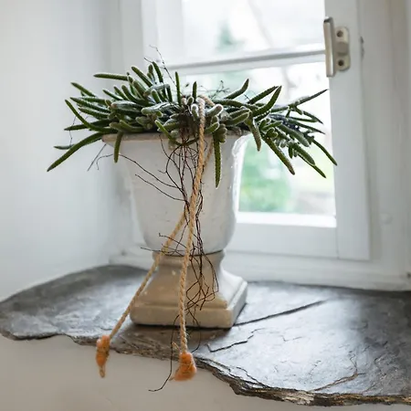 Seminarhaus Heim Retreat, Fachwerkhaus Von 1451, Yoga, Naturgarten Fuer 10 Personen Appartement