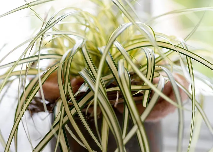 아파트 Seminarhaus Heim Retreat, Fachwerkhaus Von 1451, Yoga, Naturgarten Fuer 10 Personen 엘렌츠폴터스도프