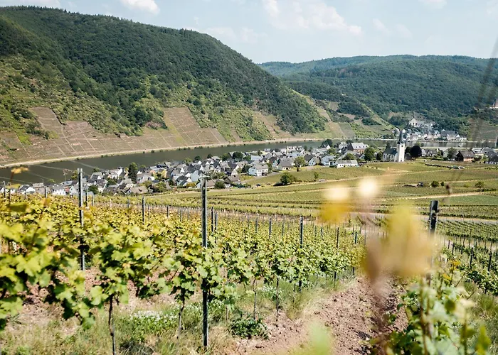 Seminarhaus Heim Retreat, Fachwerkhaus Von 1451, Yoga, Naturgarten Fuer 10 Personen Appartement Ellenz-Poltersdorf