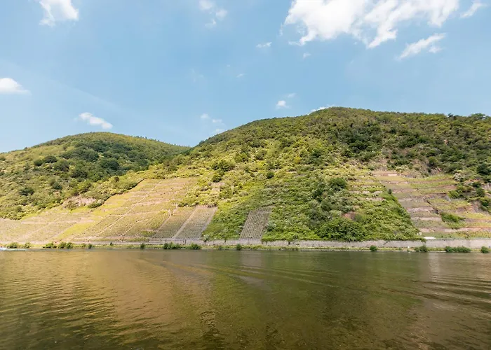 Seminarhaus Heim Retreat, Fachwerkhaus Von 1451, Yoga, Naturgarten Fuer 10 Personen 엘렌츠폴터스도프