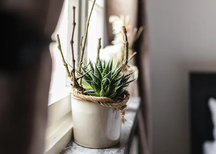 Appartement Seminarhaus Heim Retreat, Fachwerkhaus Von 1451, Yoga, Naturgarten Fuer 10 Personen