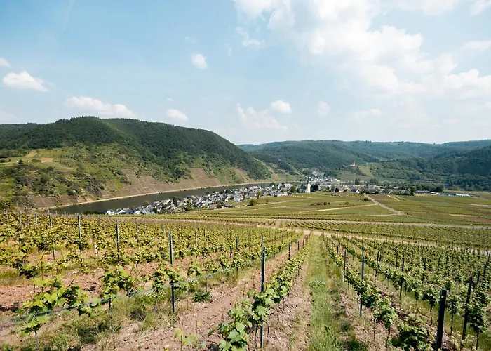 Seminarhaus Heim Retreat, Fachwerkhaus Von 1451, Yoga, Naturgarten Fuer 10 Personen *