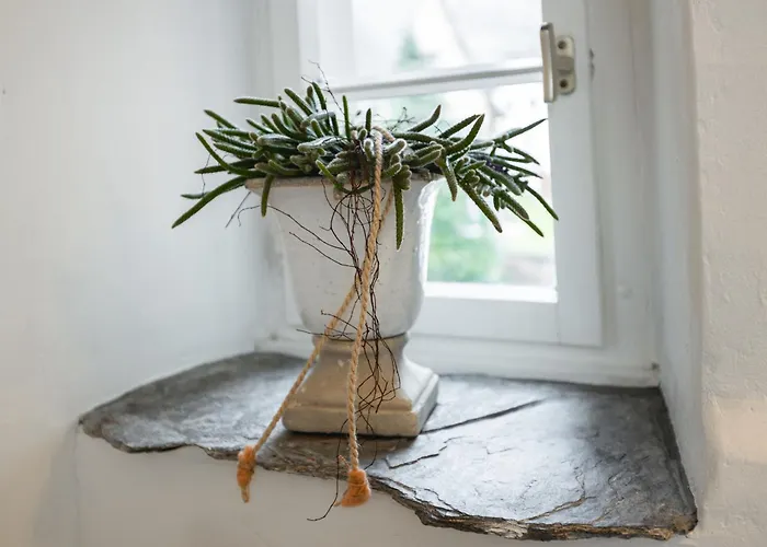 Seminarhaus Heim Retreat, Fachwerkhaus Von 1451, Yoga, Naturgarten Fuer 10 Personen 아파트